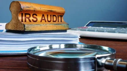 Small Business Audit: 4 Things To Expect