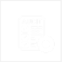 Audit Defense