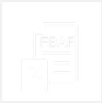 Offshore Assets FBAR Filing icon