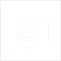 Tax Fraud Investigations